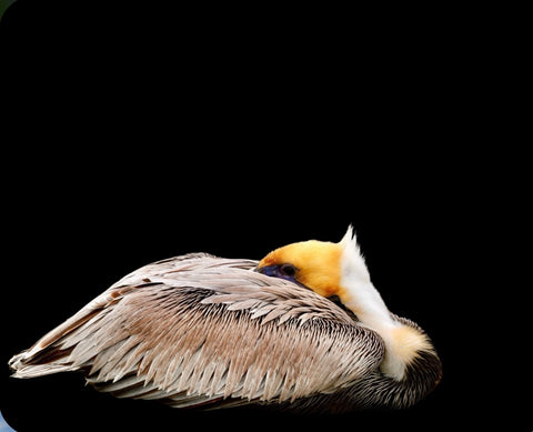 Canvas prints 8X 10 “Self Care”